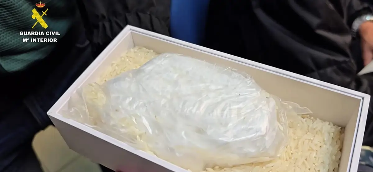 Droga intervenida en el desmantelamiento de una red que introducía cocaína en Tenerife