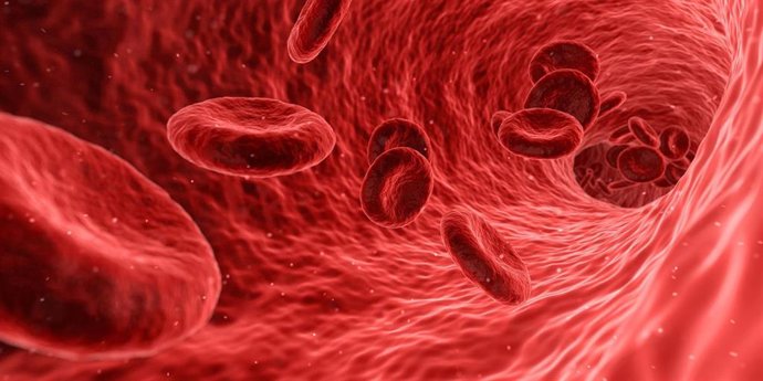 Archivo - Imagen de recurso de sangre.