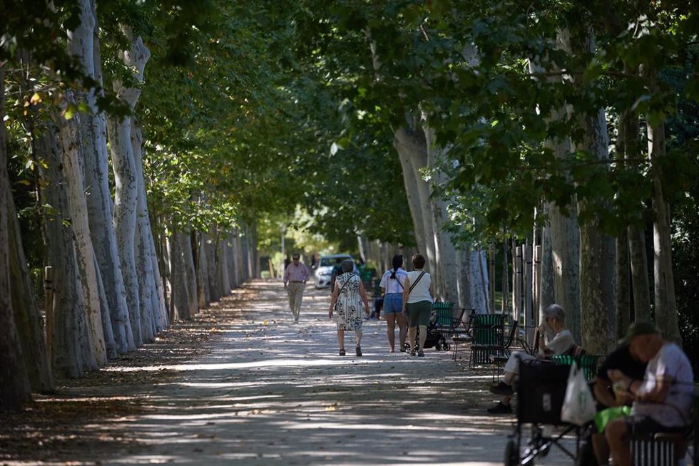 Archivo - Vista general de una de las zonas del Parque de El Retiro durante una segunda ola de calor, a 23 de julio de 2024, en Madrid (España).