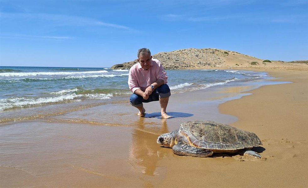 El consejero de Medio Ambiente, Universidades, Investigación y Mar Menor, Juan María Vázquez, junto al ejemplar de tortuga boba liberado en la playa de Calblanque tras ser atendido en el Centro de Recuperación de Fauna Silvestre