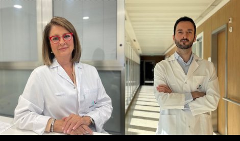 Investigación