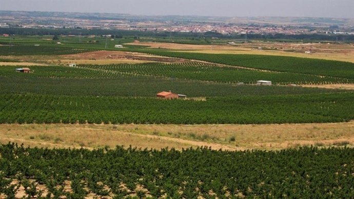Campo de cultivo