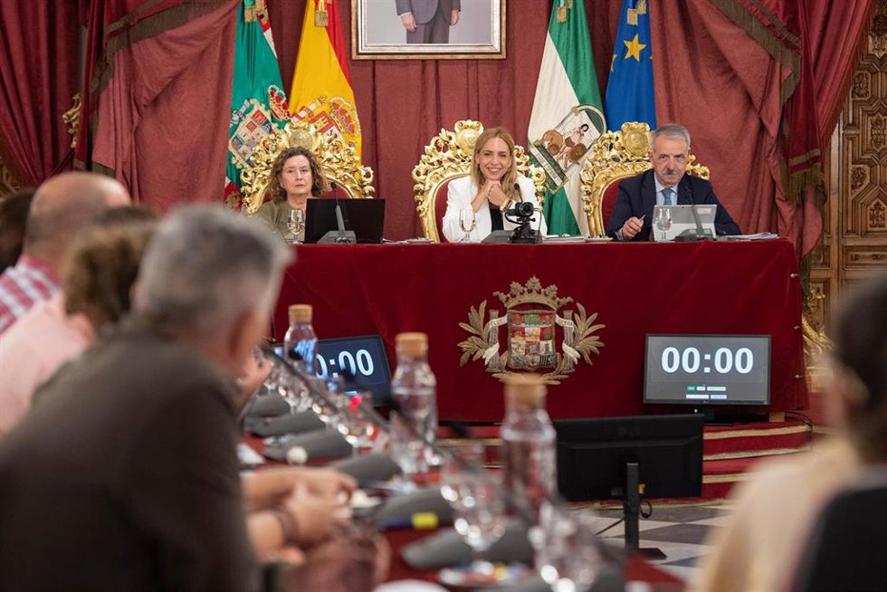 Almudena Martínez, presidenta de la Diputación de Cádiz, en el pleno de la institución provincial.