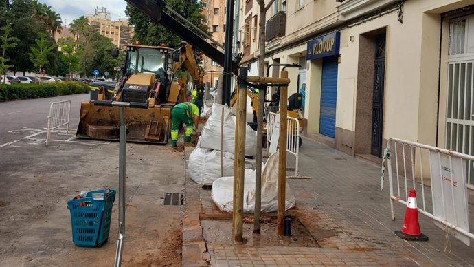 Conclou la campanya de plantació 2025-2026 amb 762 nous arbres a València