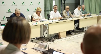 Es Andalucía - Sevilla