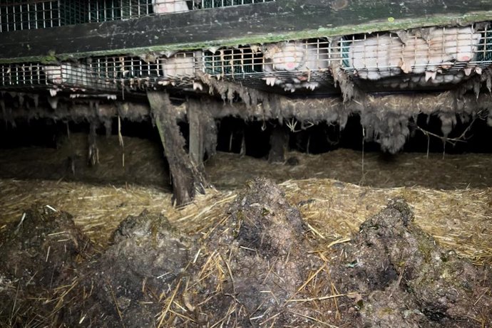 La granja peletera denunciada por la ONG Arde Global.