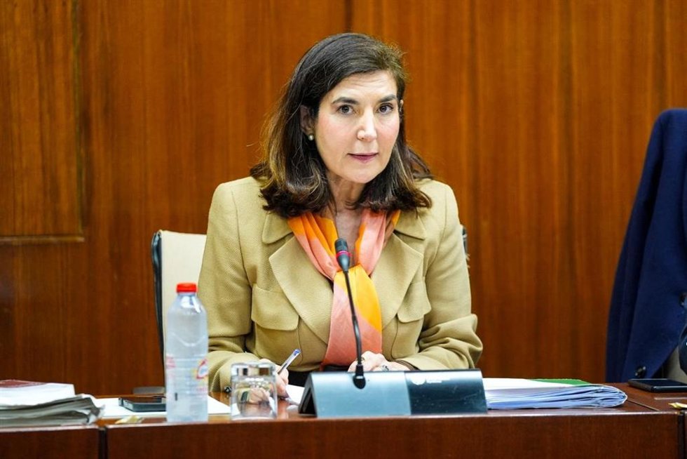 Archivo - La consejera de Empleo, Empresa y Trabajo Autónomo, Rocío Blanco, en comisión parlamentaria. Imagen de archivo. 