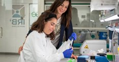 Investigación