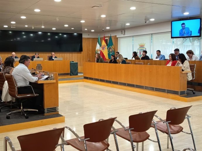 El diputado socialista Gonzalo Domínguez interviene en el Pleno ordinario de este 28 de mayo