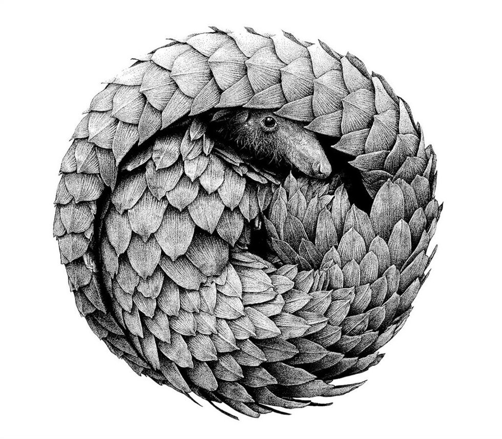 Premios Illustraciencia
