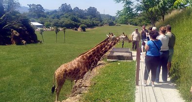 Cantabria Infinita