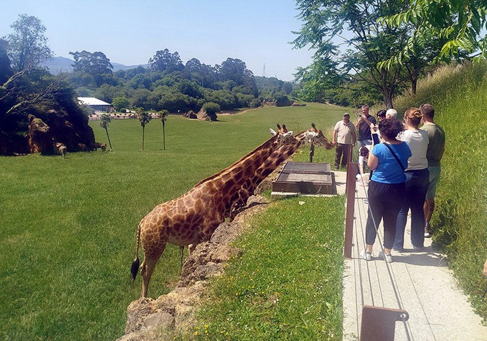 Visitantes en Cabárceno