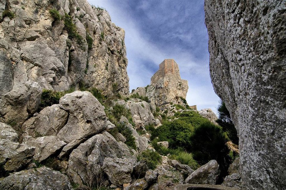 Archivo - Paraje de la Serra de Tramuntana.