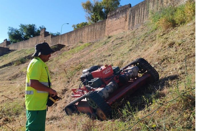 Imagen de un trabajador de Aira Gestión Ambiental realizando tareas de desbroce y limpieza en una ladera de Alcalá de Guadaíra para prevenir incendios en el verano