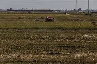 El Gobierno publica un nuevo listado de 1.407 agricultores afectados por la dana que recibirán más de 12 millones