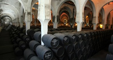 Cádiz al día