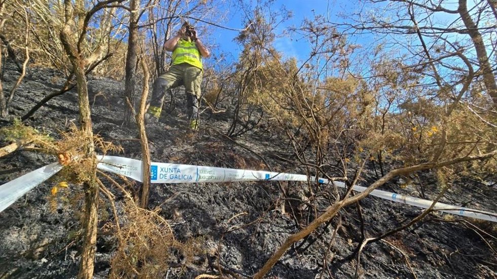 Investigación de incendios en Verea y Quintela de Leirado
