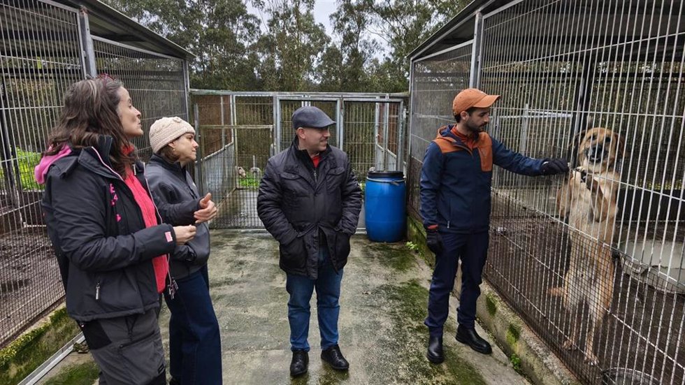 Archivo - El concejal de Medio Ambiente y Sostenibilidad del Ayuntamiento de Gijón, Rodrigo Pintueles, visita el Albergue Municipal de Animales de Serín. (Archivo)