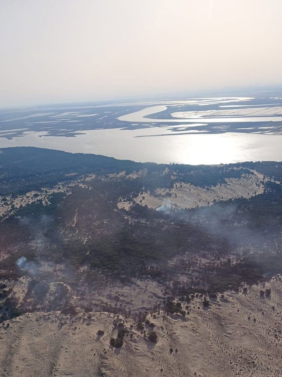 Incendio en el paraje Rincón del Membrillo, en Almonte (Huelva).