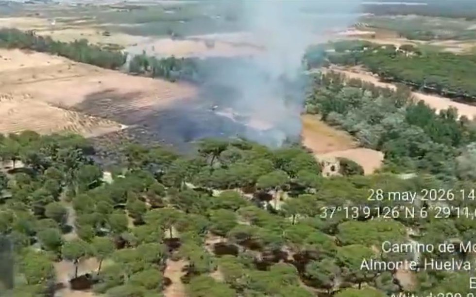 Incendio en el paraje La Pañuela de Almonte.