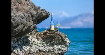 Vinos que saben a sol: joyas líquidas para celebrar la llegada del buen tiempo