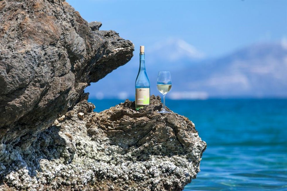 Vinos que saben a sol