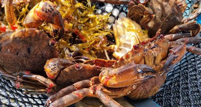 Pesca Galicia