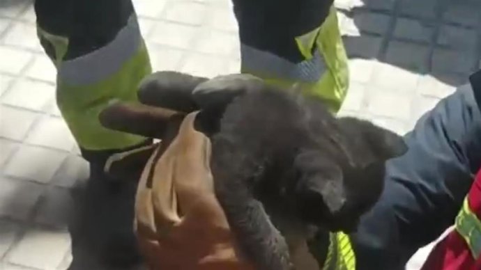 Vídeo de la noticia