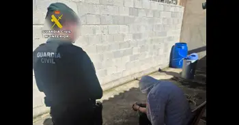 La Guardia Civil desmantela un grupo delictivo dedicado al cultivo masivo de marihuana en Ricote