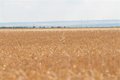 El Gobierno abona 1.081 millones a 98.049 agricultores y ganaderos afectados por las borrascas