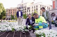 Madrid se engalana para recibir a León XIV con cerca de 100.000 flores con los colores de la bandera del Vaticano