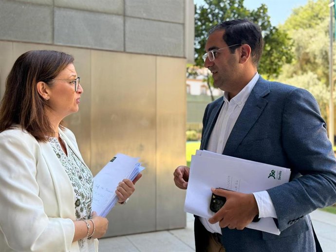 La portavoz adjunta del Grupo Popular en la Diputación, Gloria Guillén, y el portavoz de esta formación, Martín Torres, a las puertas del Salón de Plenos