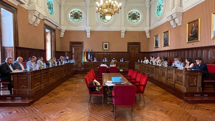 Pleno ordinario de mayo en la Diputación de Jaén