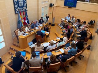 Imagen del Pleno del Ayuntamiento de Segovia celebrado este viernes, 29 de mayo