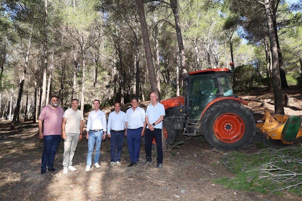 El Consell inicia un plan de limpieza forestal en 18 municipios para prevenir incendios en la Serra de Tramuntana.
