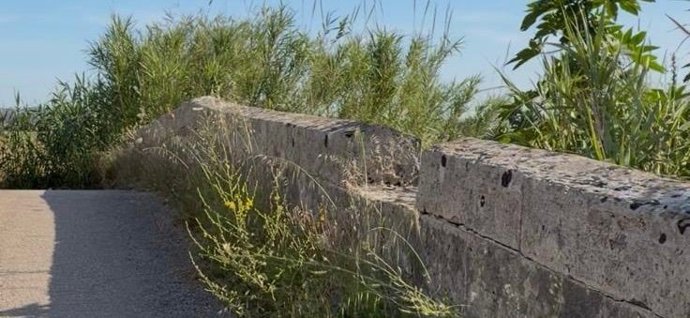 Pont de ses Jonqueres Veres