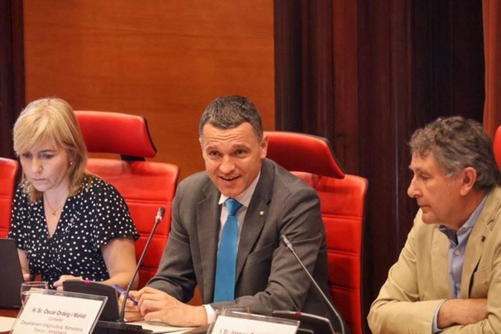 El conseller de Agricultura, Ganadería, Pesca y Alimentación de la Generalitat, Òscar Ordeig,  durante su comparecencia en comisión parlamentaria este viernes para explicar las partidas de su Conselleria en los Presupuestos de la Generalitat