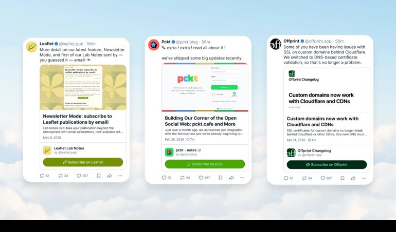 notibrasil sociedade