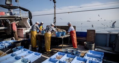 EpAgro - Pesca