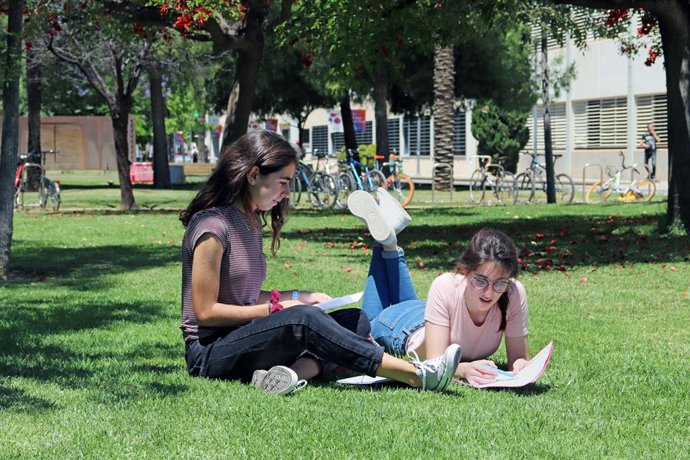 Archivo - Arxiu - Campus de la UPV