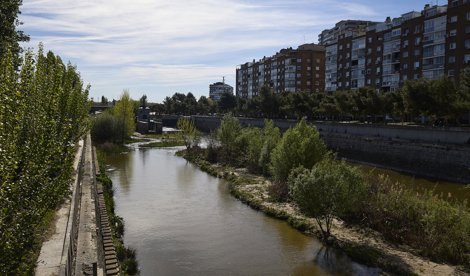 Madrid