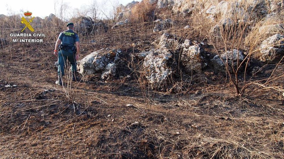 Zona afectada por un incendio en Córdoba.