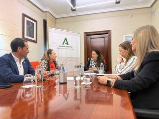 Imagen de la reunión.