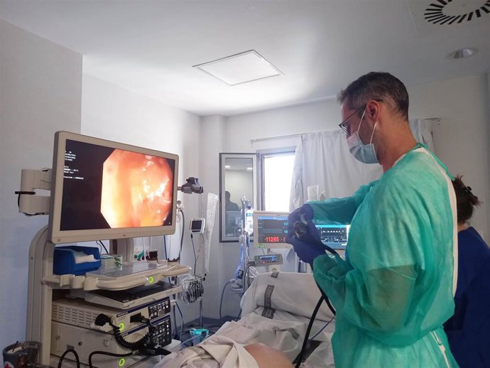 Archivo - El Hospital de Manises realiza el primer trasplante de microbiota fecal.