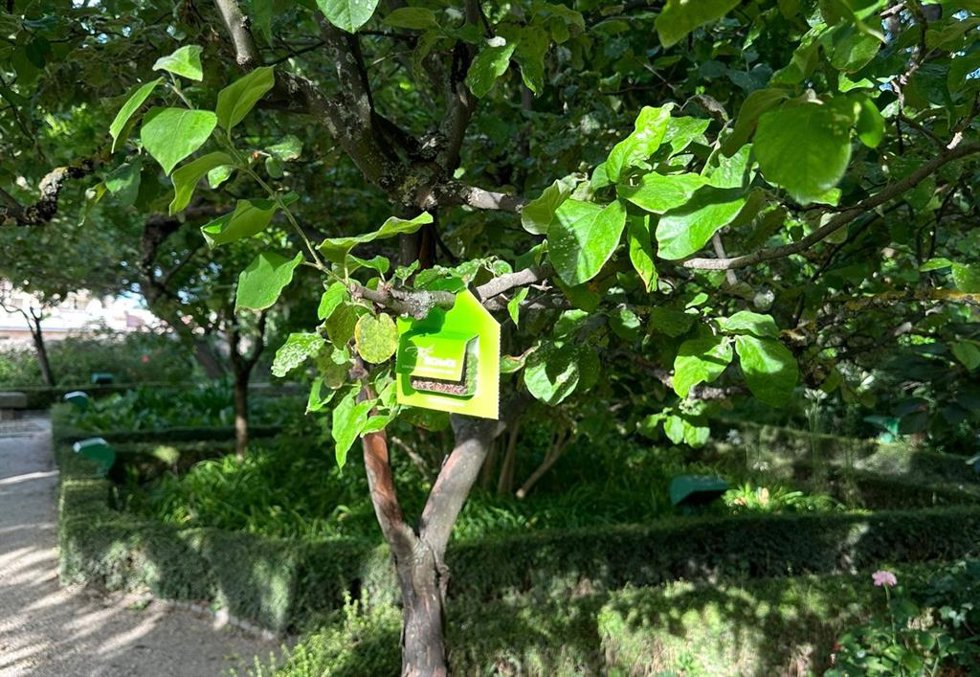 El Ayuntamiento de Salamanca refuerza la lucha biológica para prevenir y combatir las plagas en parques y jardines de la ciudad