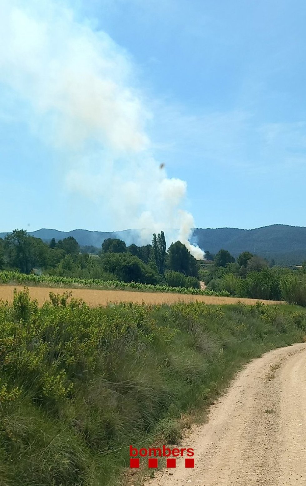 Incendio en Barberà de la Conca (Tarragona).