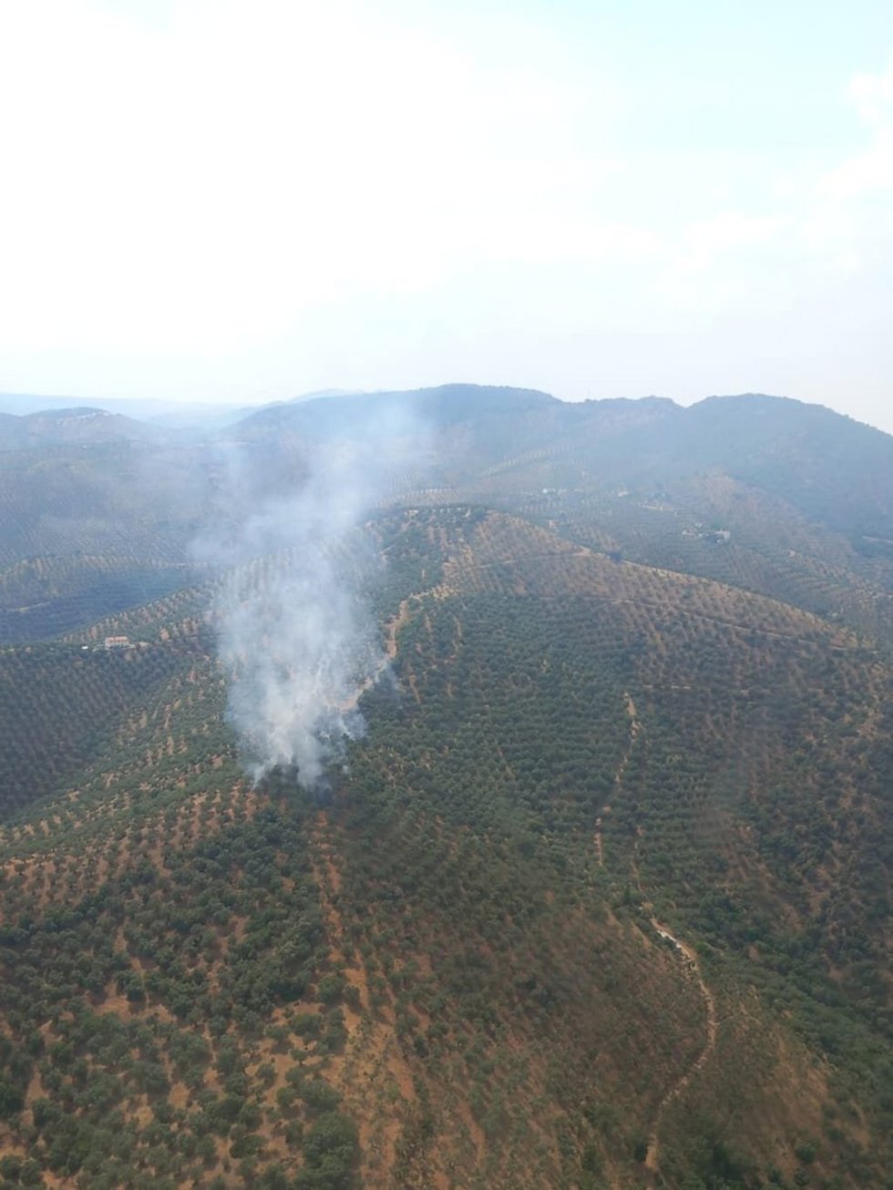 Zona agrícola incendiada en Pozoblanco (Córdoba) a causa del impacto de un rayo.