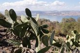Foto: Israel suspende las clases en el norte tras la intensificación de los ataques de Hezbolá