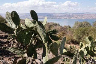 Archivo - Paisaje de Galiela, en el norte de Israel (archivo)