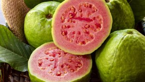 Nutrición
